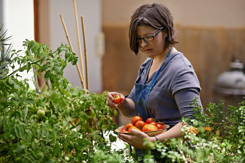 Consultanță fonduri europene portofoliu ILIGRA finanțare aprobată fonduri europene EIT Food 2025 afaceri conduse de femei