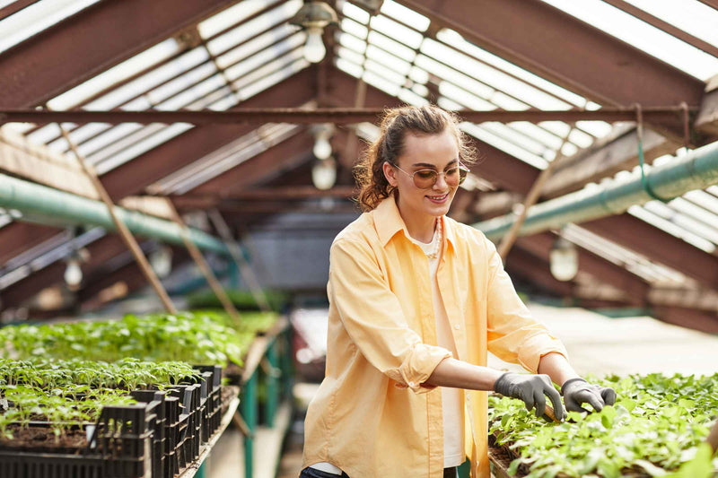 Consultanță fonduri europene portofoliu ILIGRA finanțare aprobată fonduri europene EIT Food 2025 Empowering Women in Agrifood