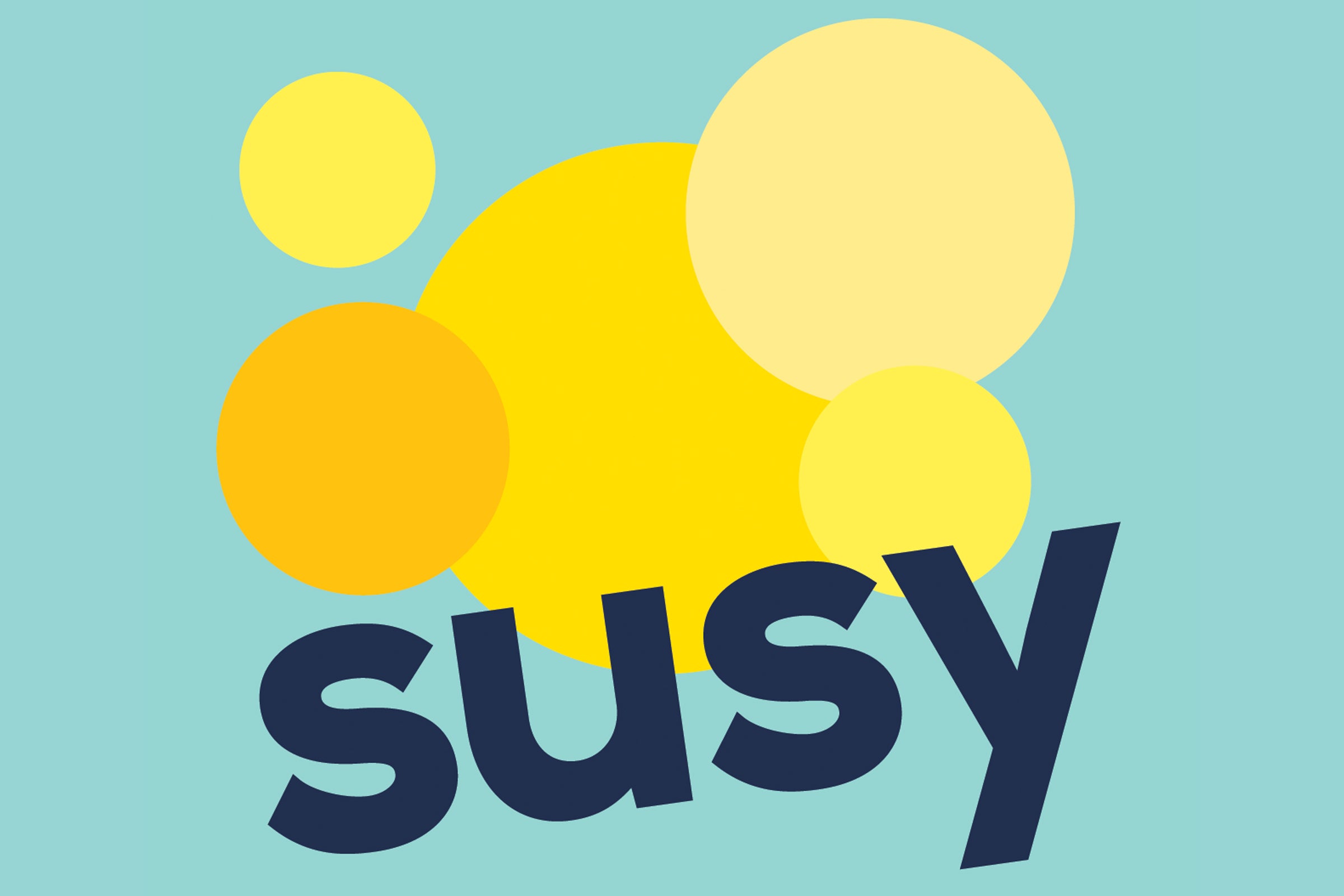 SUSY - Social and Solidarity Economy for Sustainable Development - EuropeAid